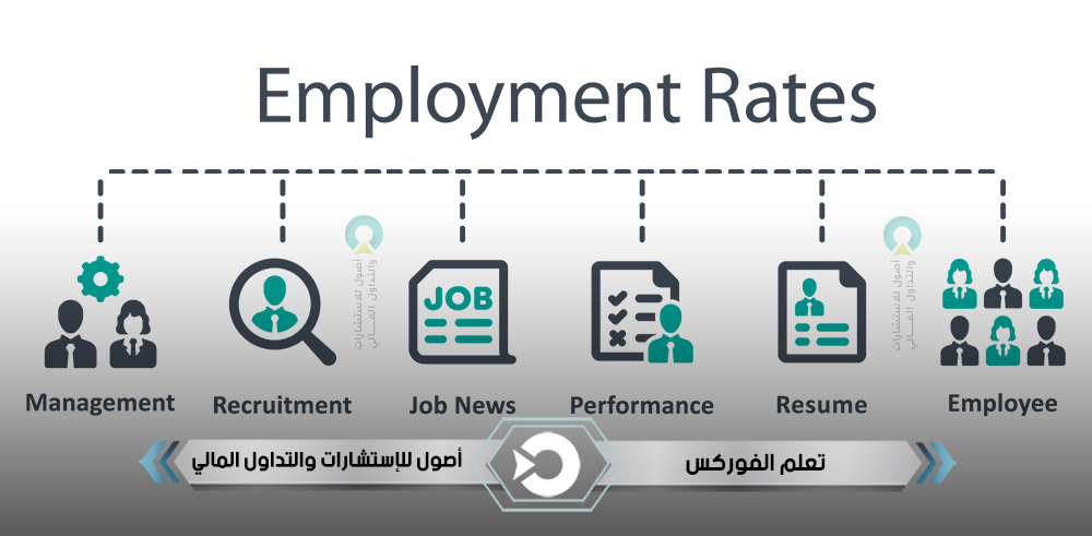 معدلات التوظيف