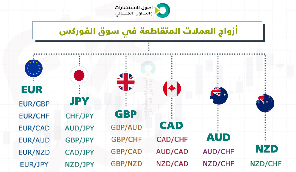 أزواج العملات المتقاطعة في سوق الفوركس