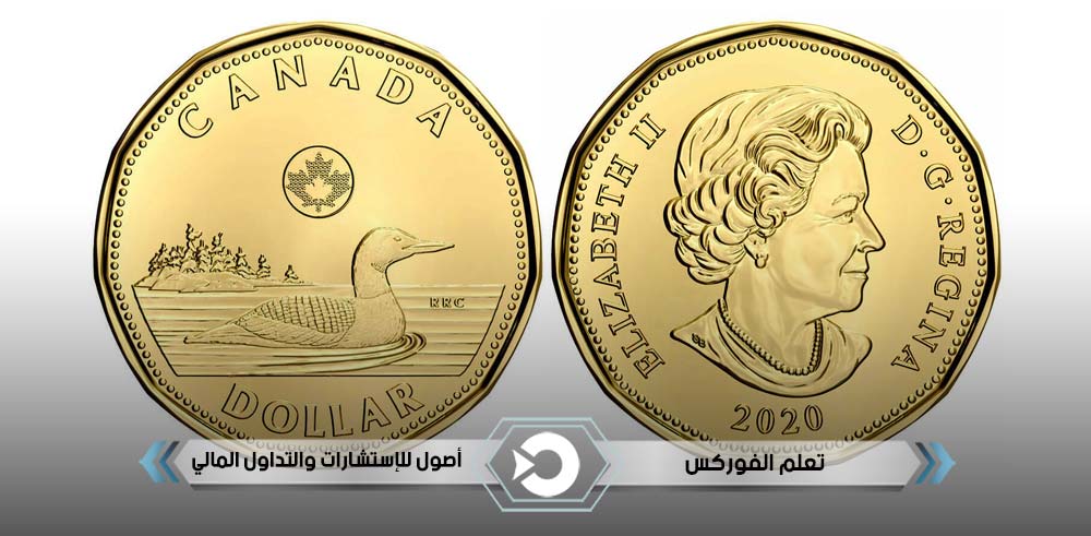 1 دولار كندي (عملة لوني Loonie)